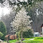 Jaegerhaus Privathaus * Oppach