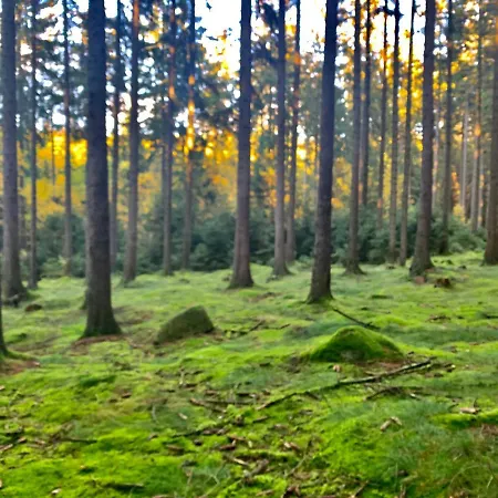 Jaegerhaus Privathaus * Oppach