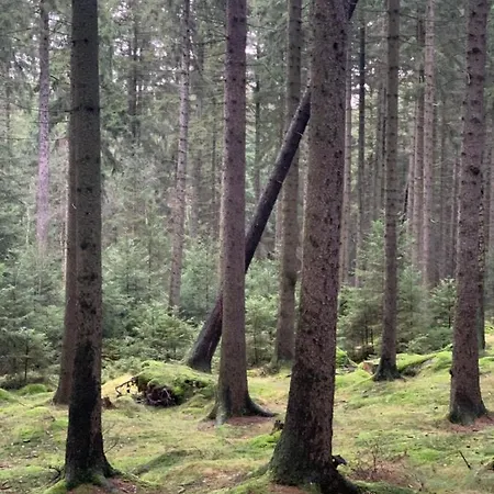 Jaegerhaus Privathaus *