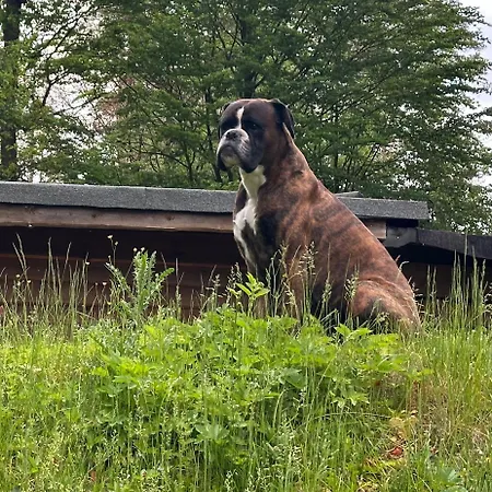 Nyaraló Jaegerhaus Privathaus *