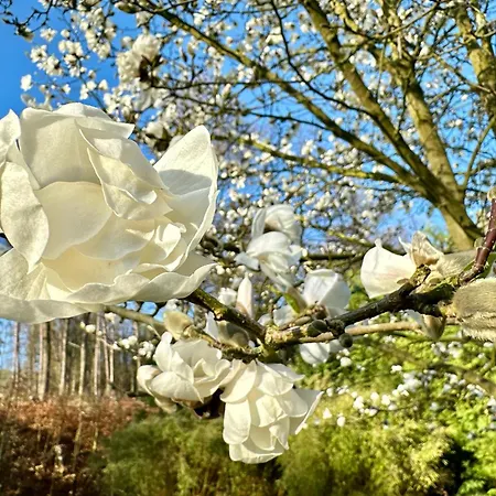 度假居 Jaegerhaus Privathaus Oppach