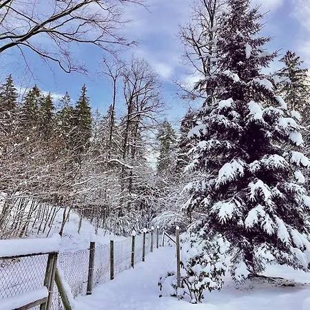 Jaegerhaus Privathaus Tatil Evi