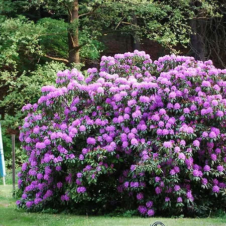 Сasa de vacaciones Jaegerhaus Privathaus Oppach