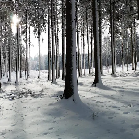 Nyaraló Jaegerhaus Privathaus