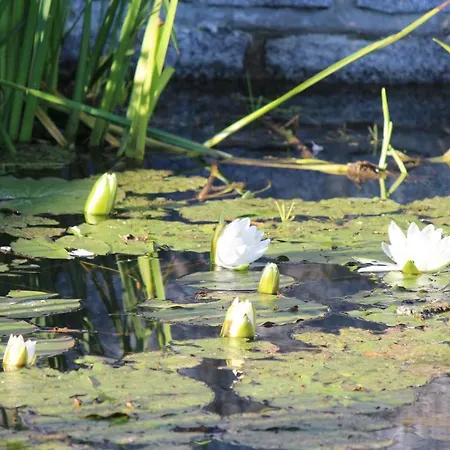 Jaegerhaus Privathaus Nyaraló