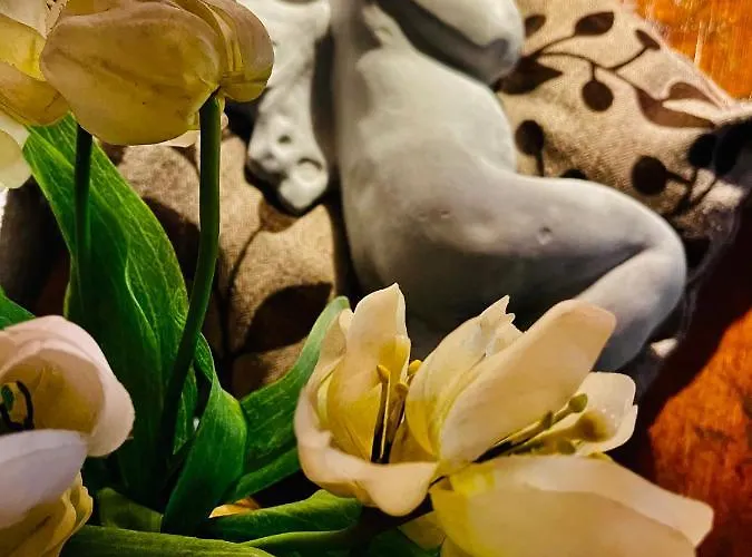 Jaegerhaus Privathaus Дом отдыха Oppach