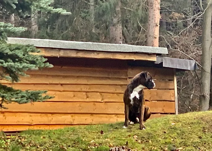 Jaegerhaus Privathaus Дом отдыха *