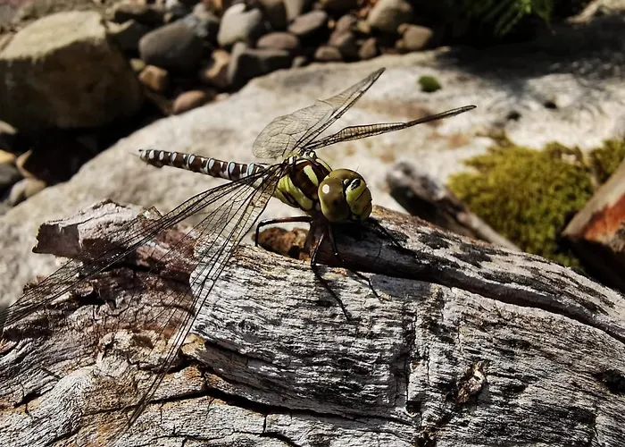 Jaegerhaus Privathaus Дом отдыха