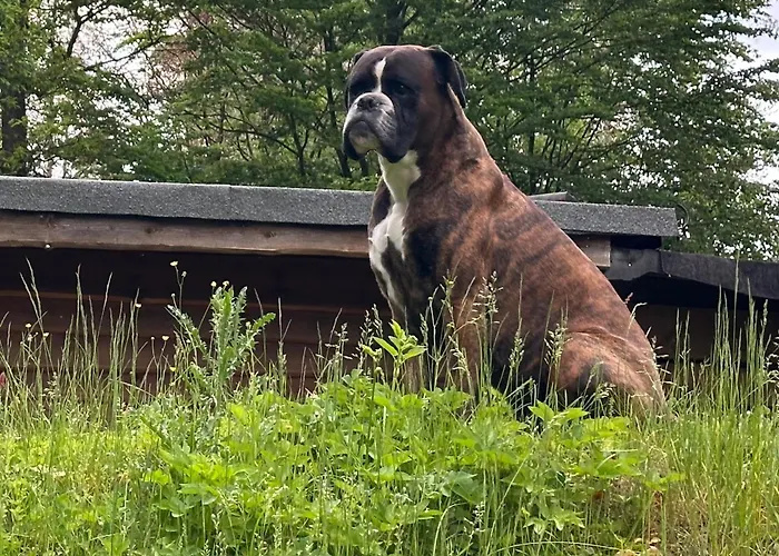 Дом отдыха Jaegerhaus Privathaus *