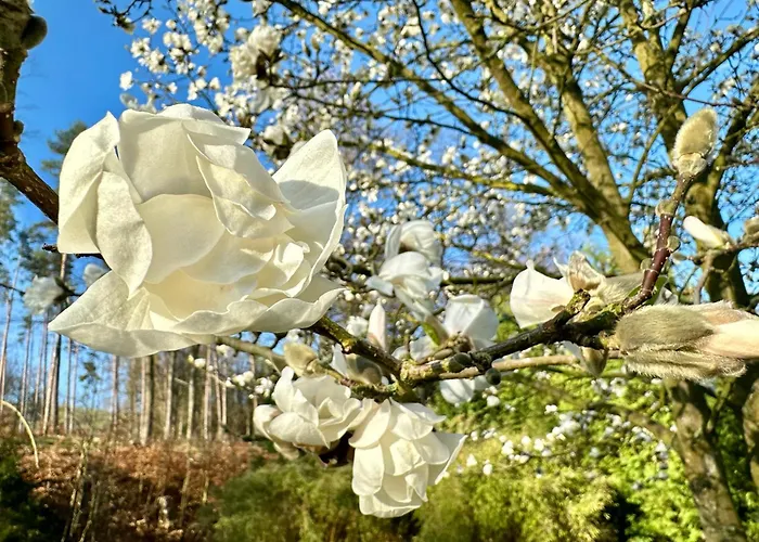 Дом отдыха Jaegerhaus Privathaus Oppach