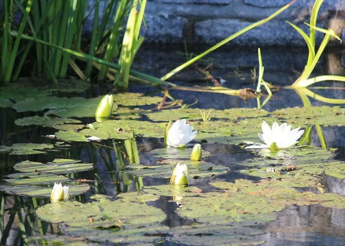 Jaegerhaus Privathaus Дом отдыха